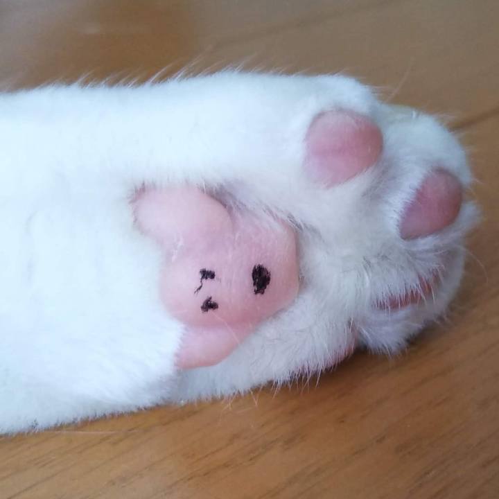 Fb2efd2b 03c5 4ccf 9ba9 bc45bd13c999 1532469850416