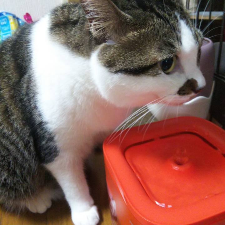 Fb2f7566 dc5b 45bc a537 3f2e2413b646 1661612436766