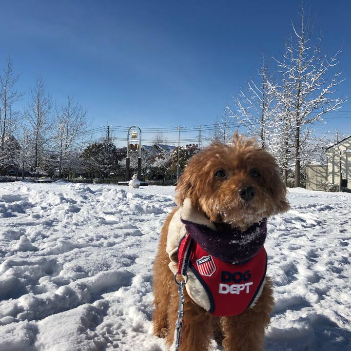 Fb2f8f19 2ac5 4dee a8b1 d56bf1279113 1610157595237