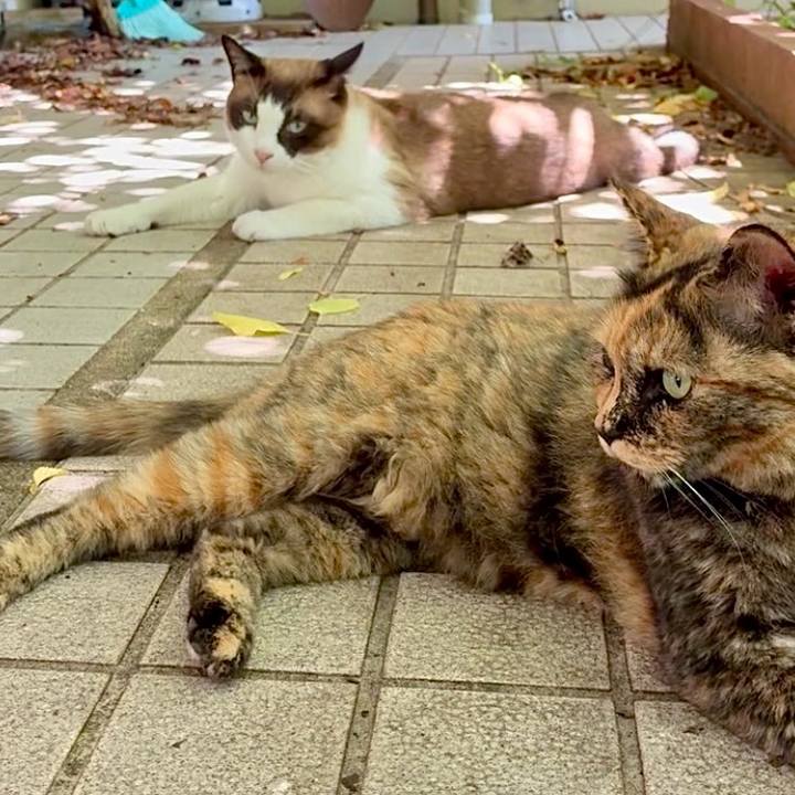 Fb302871 54e4 407a 92d6 0b5c7619dc26 1753063454798