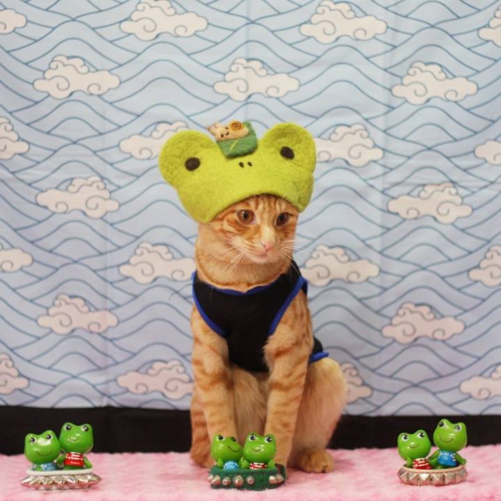 Fb30390b 8700 4e22 80e5 2feb903e6098 1685610548608