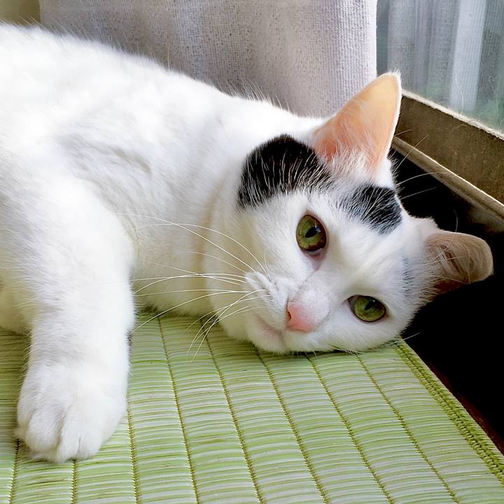 Fb309ffc 65d5 4e28 8532 655b38b7dc55 1578565449401