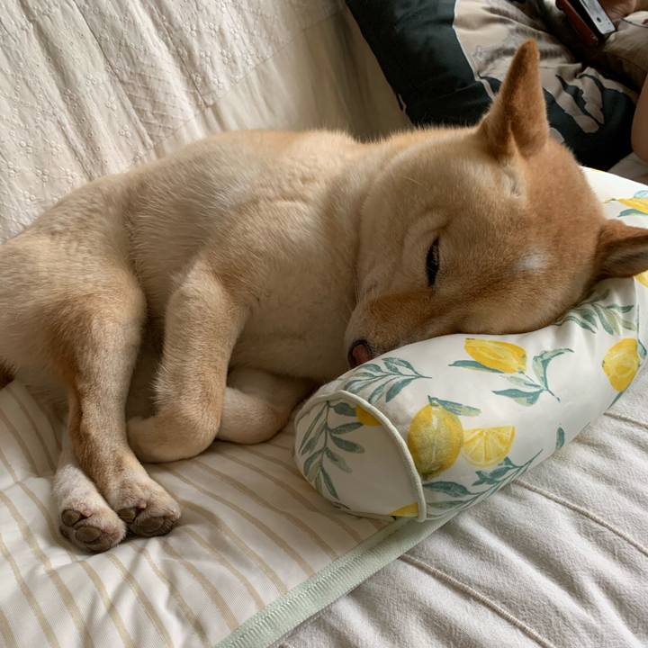 Fb30ac7c b08d 4ede 8e6b 187626f9b061 1624249026415