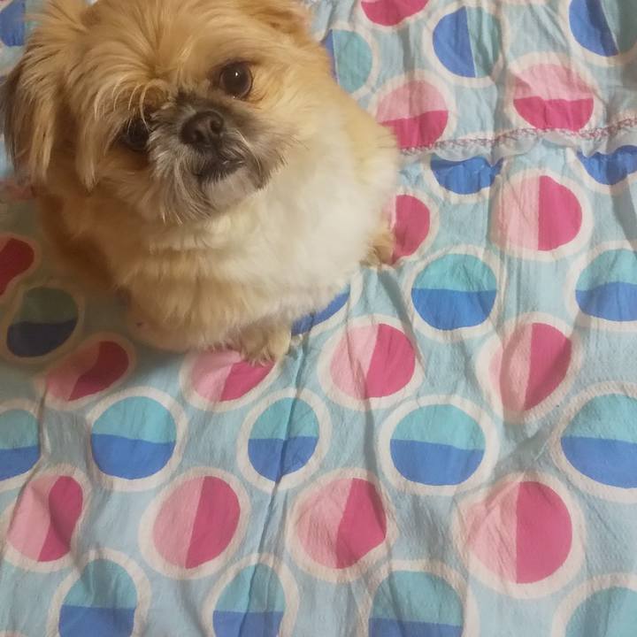 Fb30f50d 6ea2 4b30 9ff2 8546e84a2408 1736440874584