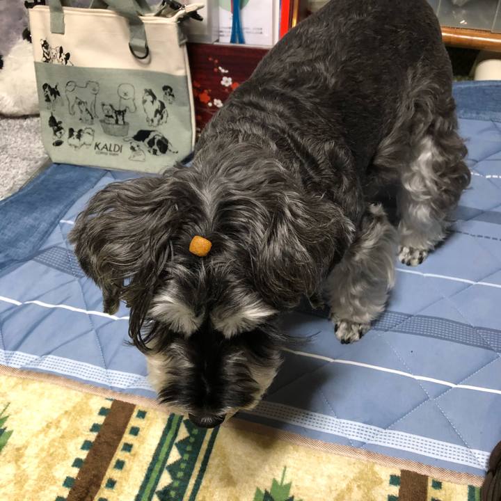 Fb30fcd9 ff1a 44f2 ac66 bd527414bc87 1669640273867