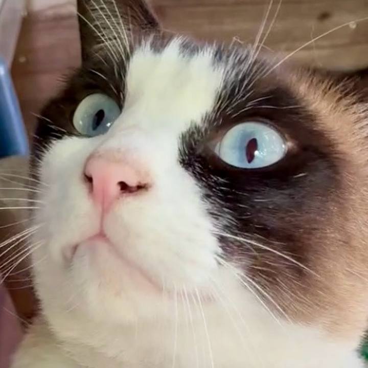 Fb314c54 69bd 4354 9433 caafec393056 1746862294868