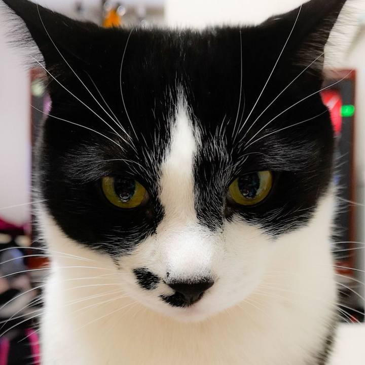 Fb3156a9 5db7 45b6 a9eb 96498cd9ce9b 1549758832030