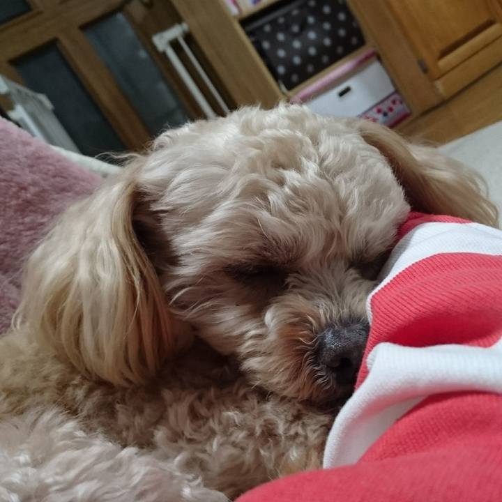 Fb317cb3 1a3d 446e ab31 ca90941fe187 1521620024945