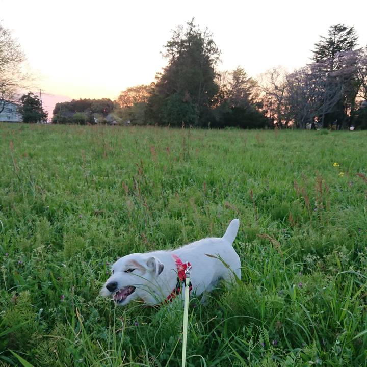 Fb319c72 4909 47ed b797 d9e883642886 1555370873289