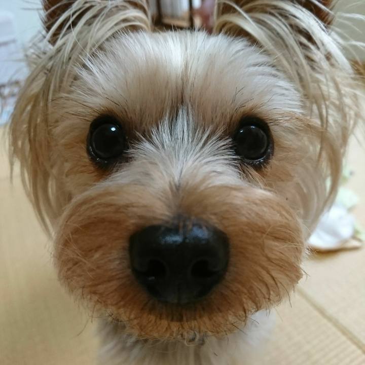 Fb31ae51 c559 4968 b062 29ca513e3fb6 1529280877927