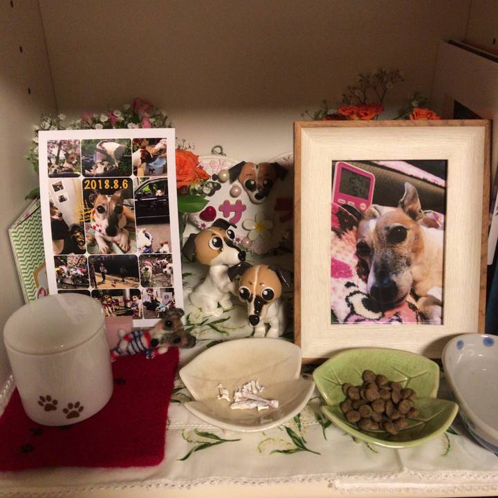 Fb31e64a 0fd2 4958 b535 a1338f5fccab 1533992638066