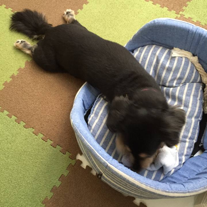 Fb31ef7c 3df9 4a8f bf41 ed6f59ce18c5 1525948022722