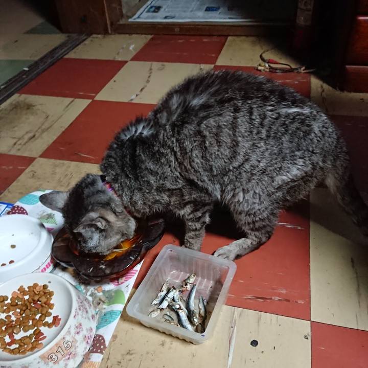 Fb321598 7edb 4ca3 b204 4adf0d784352 1594582433577