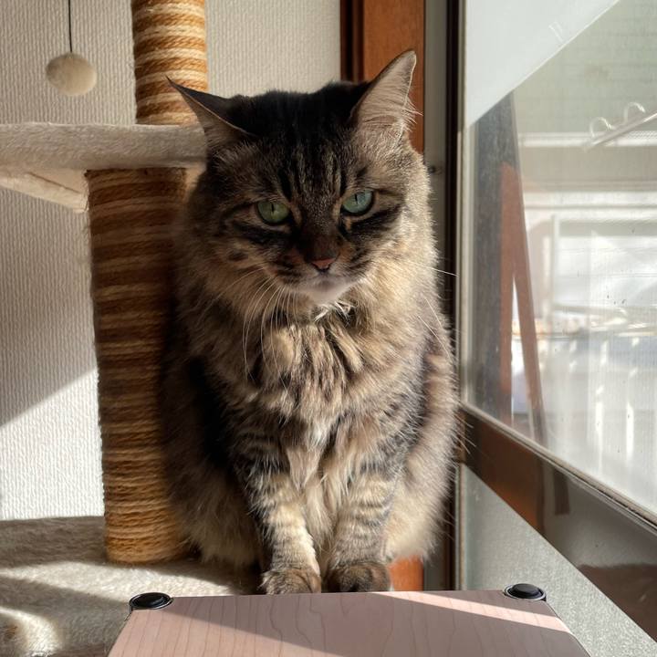 Fb321c85 86f0 47cf 99fd f5a92118b3d8 1769069648136