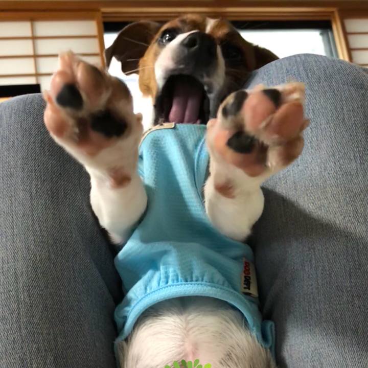 Fb32753b 6b42 49b0 a883 c7c0c2971a01 1527461570908