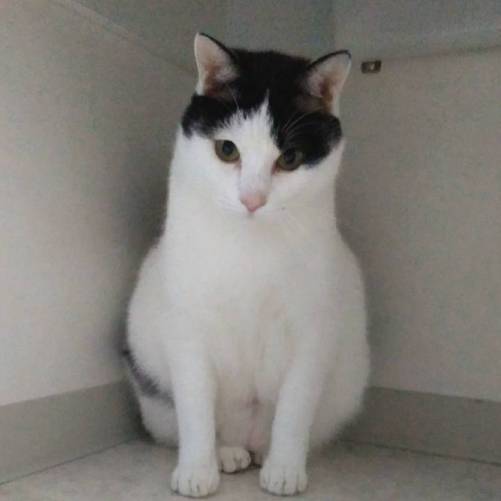 Fb328b92 29be 49f9 b542 942bfc79f376 1552995085304