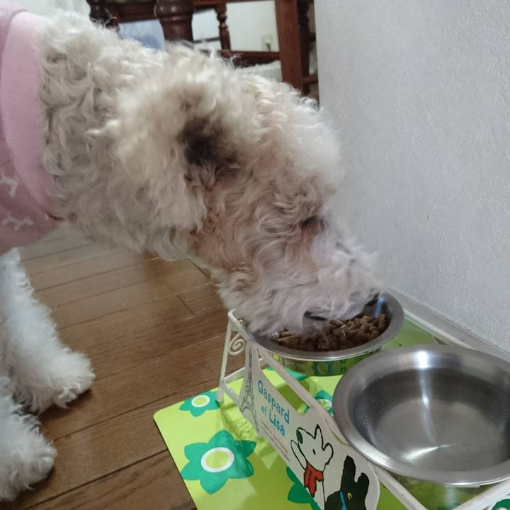 Fb329a8d b7df 4d1d b2ab 8dfddcc8cc84 1513059552930