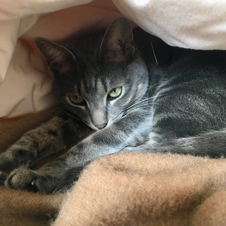 Fb32a79d afc6 4d3c b4bc 1a76901162fe 1586673901985