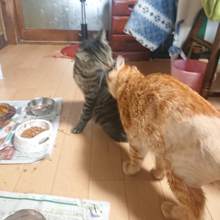 Fb32ad41 5766 4b52 9dfb 404f82d5492f 1654728151542