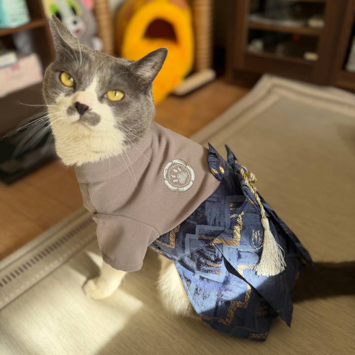 Fb32ae50 f009 4717 9567 d25c3c1cbd24 1767234753213