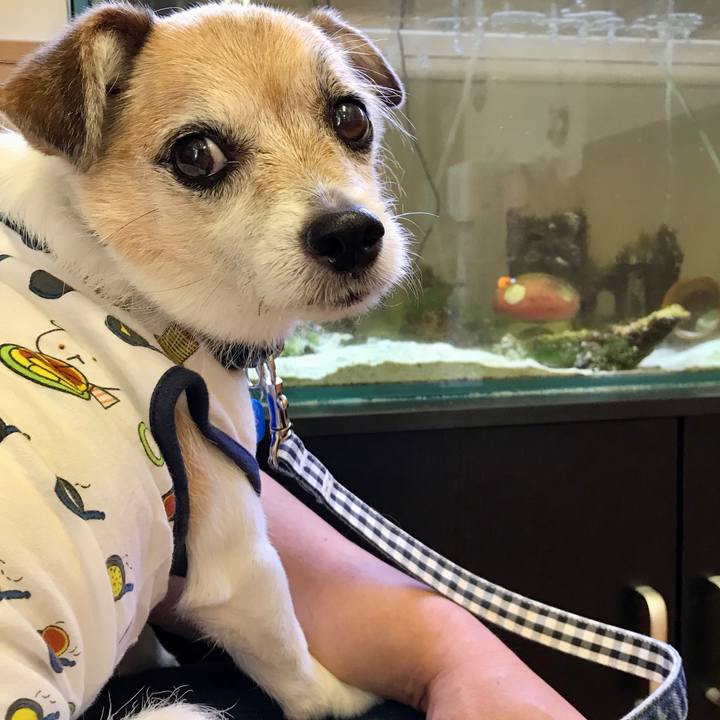 Fb32b006 3b63 42a9 8771 6fdcfa746192 1656131569553