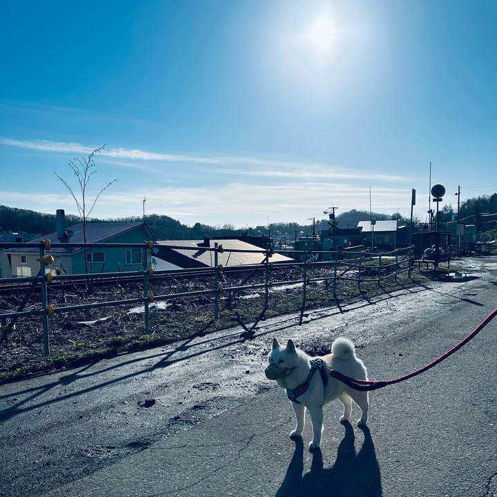 Fb32dd57 65ea 4f86 8a01 f108276053d7 1744841337679