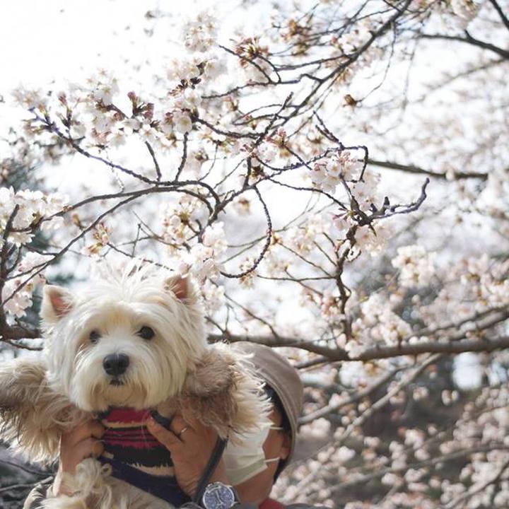 Fb32eeba 8590 4cba af55 17a3939a4d92 1522070672015