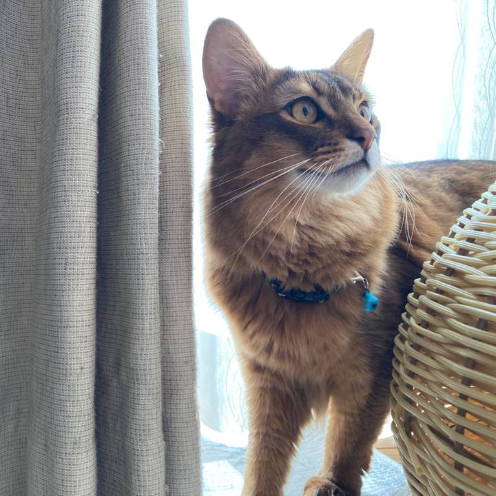 Fb330f1d b896 4939 aecb ed74daff527e 1614400453115