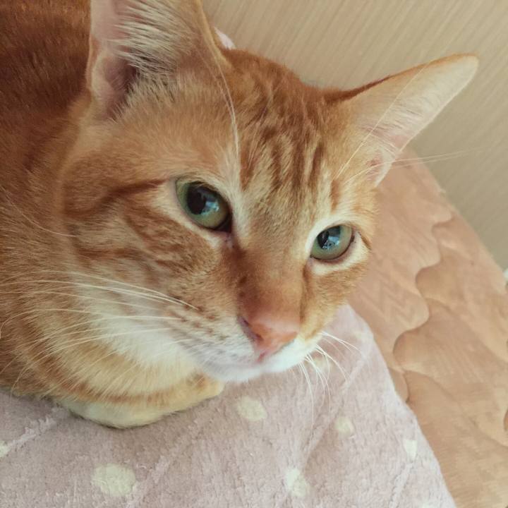 Fb33106e fe86 4d78 8b11 9e51572cc19e 1553288891879