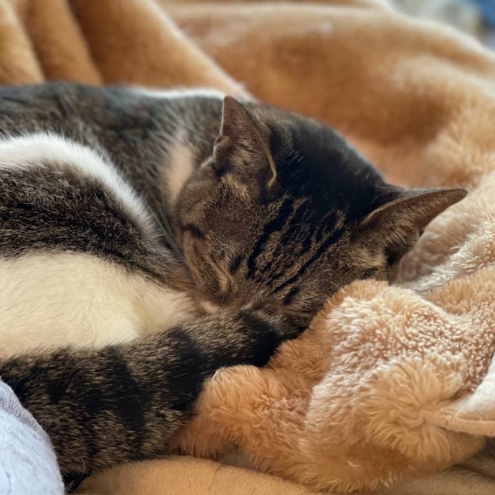 Fb339e2f c104 411c a84a 812cffd46b04 1645321671870