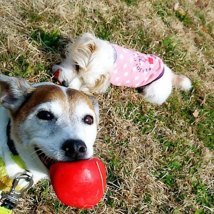 Fb33ae5c eb96 40eb a84d ce9056e63d15 1516521274721