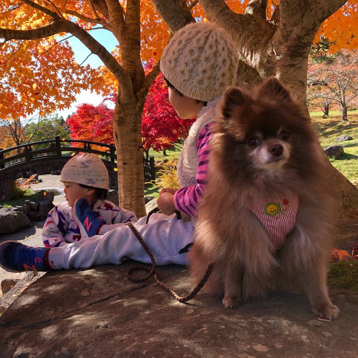 Fb33b05f 2edc 43b4 888a 18b560602ad7 1635571576573