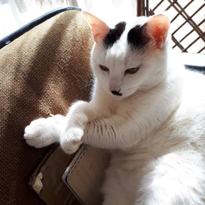 Fb33bbcb 0e50 44ba aafd 50d8dfa88325 1525580680069