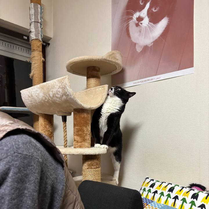 Fb3416de 9d4c 4e0c 8823 4ca75b4fe816 1765365610091