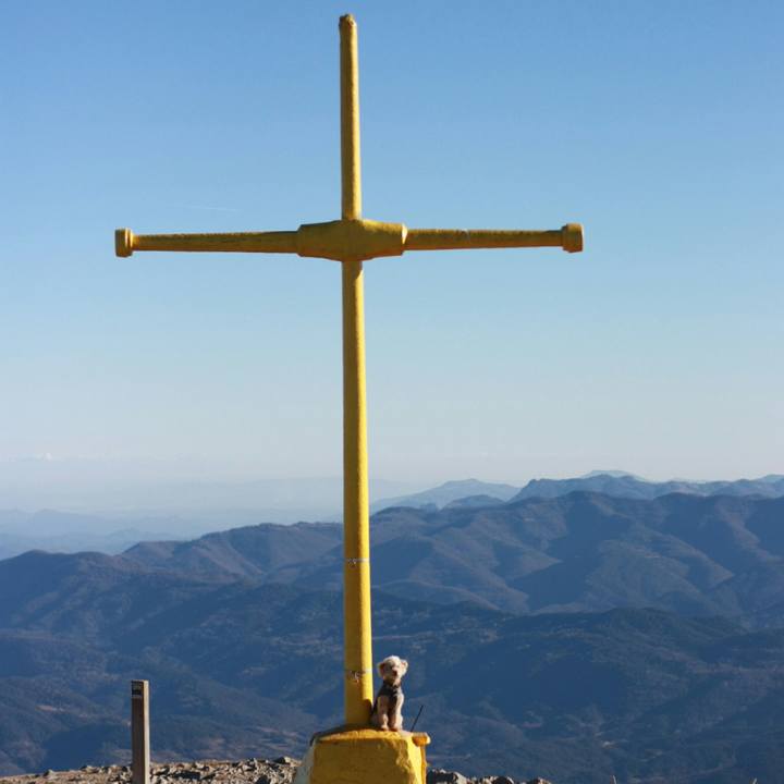 Fb3418c2 63a5 4015 b26c bc4d7860f521 1547507502521