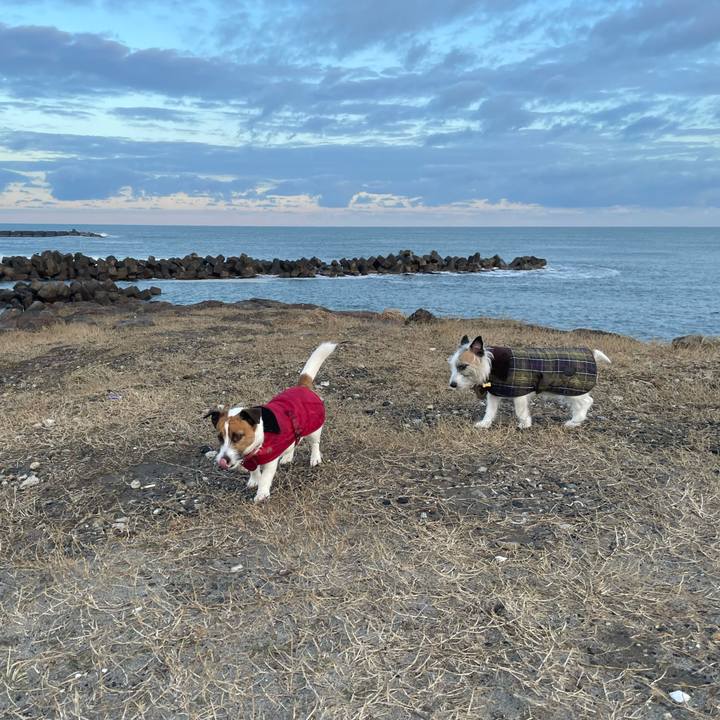 Fb3449e4 4481 409c ba52 59e64d42b151 1738454950567