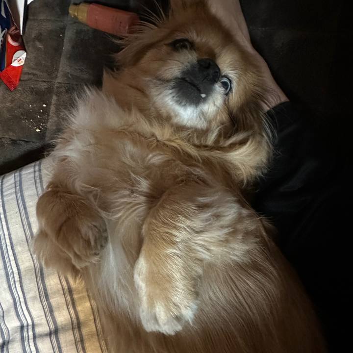 Fb347f96 cb06 4dc5 8b18 a3d9c2c63ceb 1739827813829