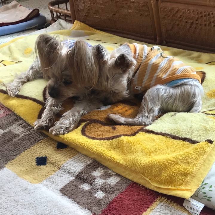 Fb34b3c5 33f3 4dd4 ac66 c28501122816 1680861753928