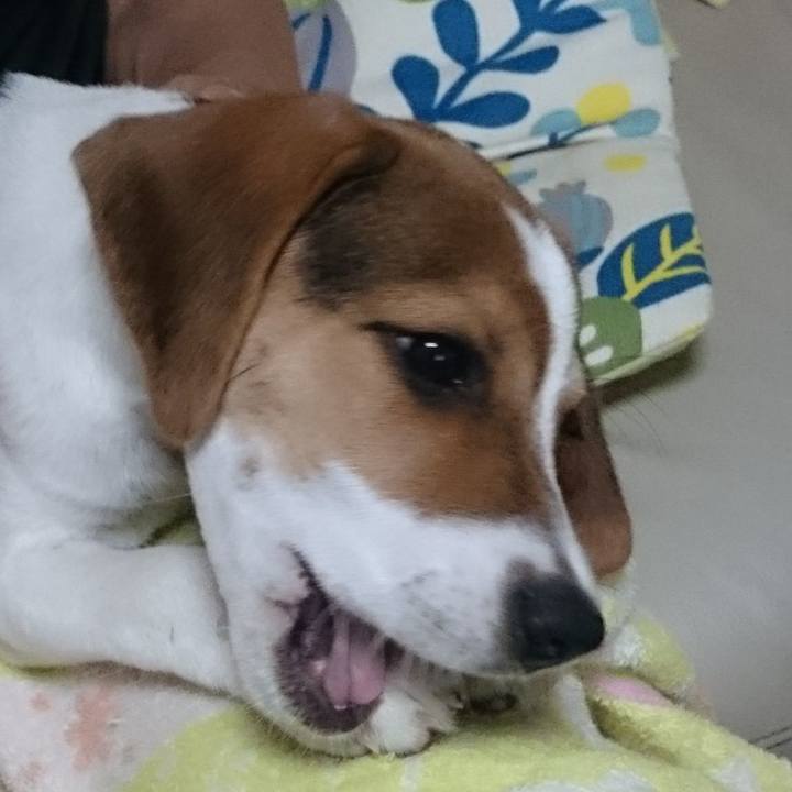 Fb34b99c 4599 45ff aa88 89c80e092f77 1619235942789