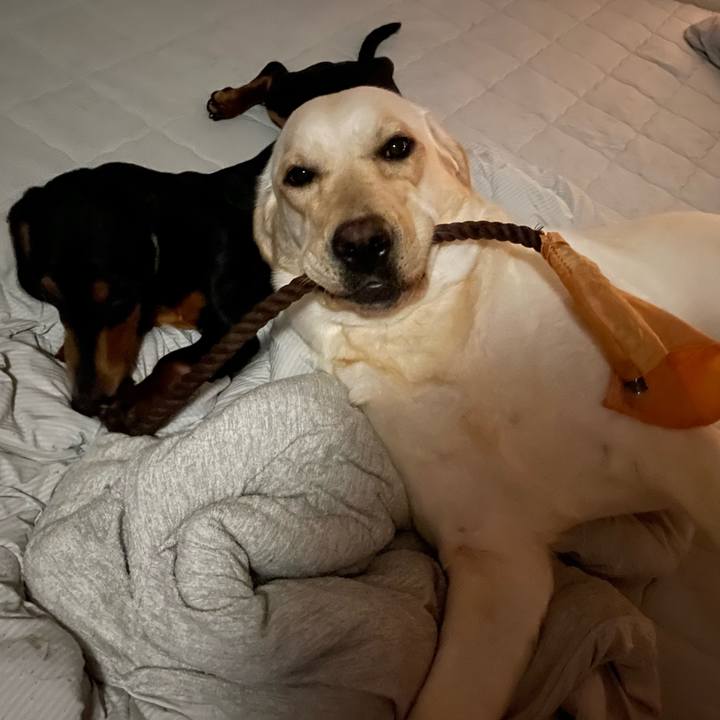 Fb34cdf1 1226 4a59 af3a abfefe496fec 1655321180902