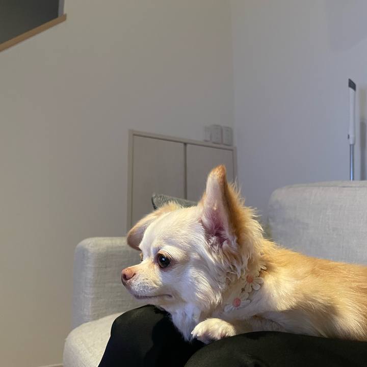 Fb34dd6e a67f 42cb a6b2 48cb7540dc47 1695730257692