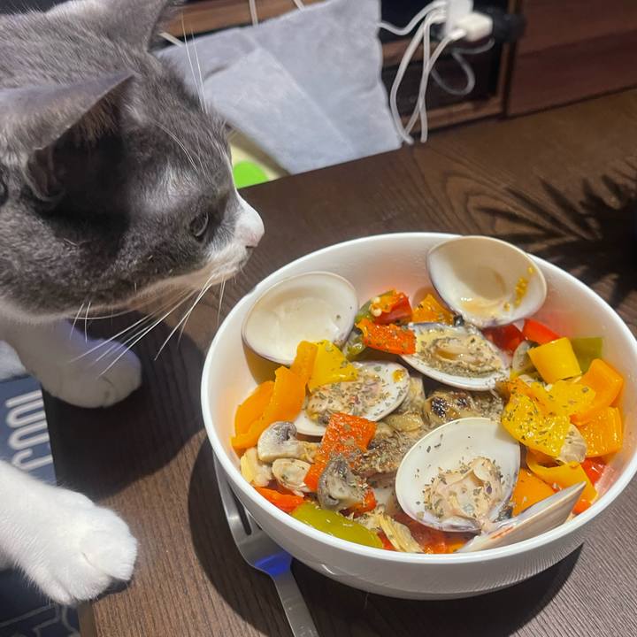 Fb34e6db 5edc 4a99 9a60 4821b77d2c71 1730632951779