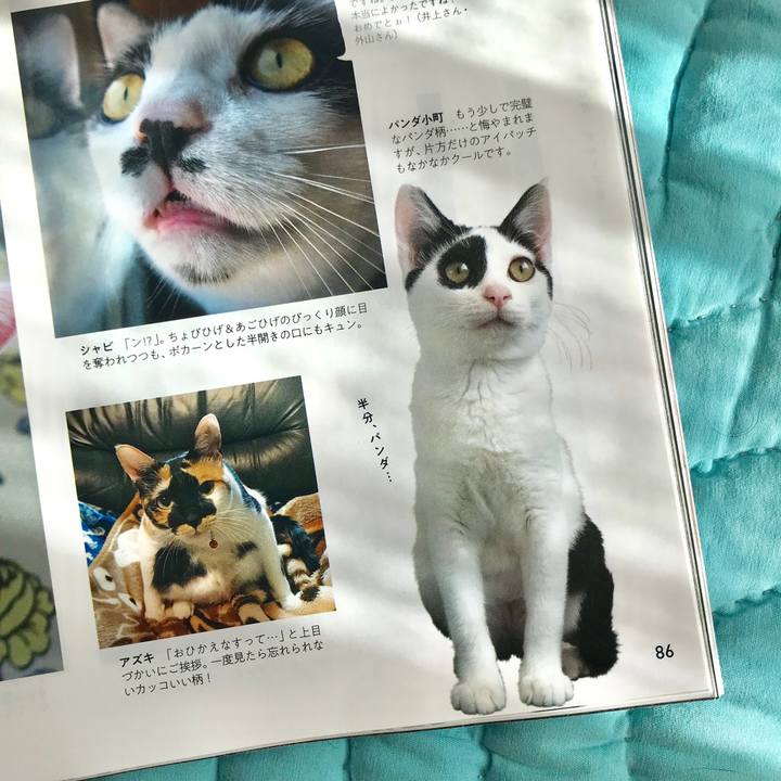 Fb3517bb cf8a 415a 8f24 3da7bf1c2092 1530325647575