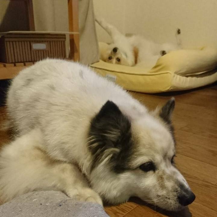 Fb3557af a40b 45df bde5 50972827d231 1598441501837