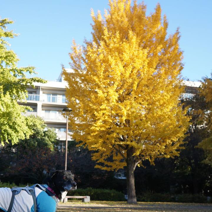 Fb3558d1 17e1 4412 84de db338f348d27 1763686471502