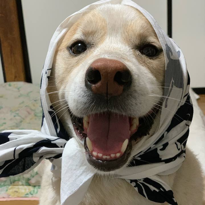 Fb35a5bf 9912 44fd 8215 b1ac7c96d9ca 1591869721056