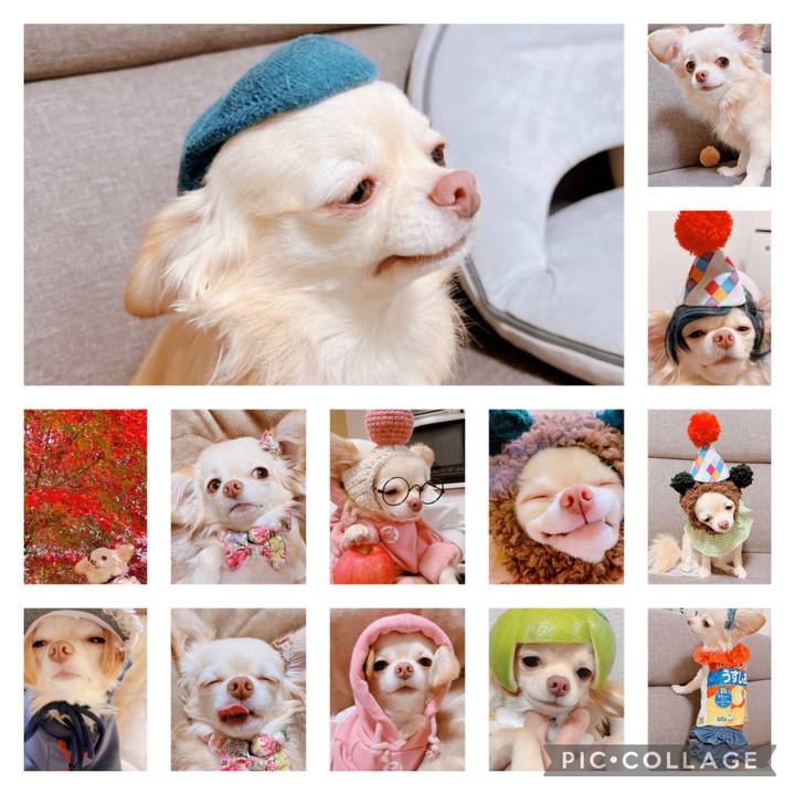 Fb35ae16 1c66 45cd 85f7 633ce794f105 1697449210147