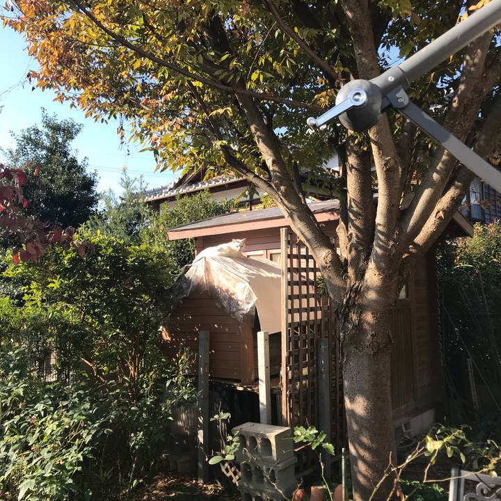 Fb35e482 8607 4e92 a6f8 4f2abda2803b 1511262091792