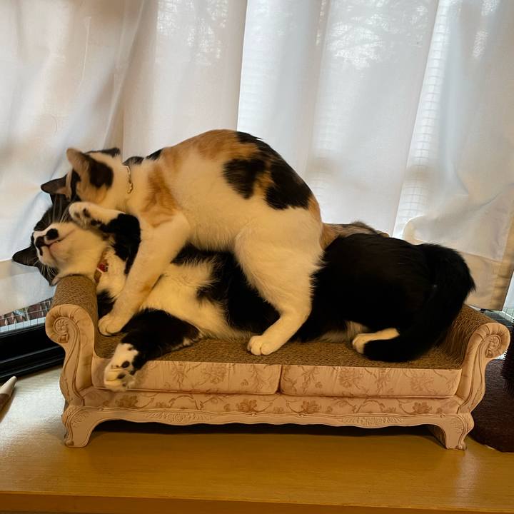 Fb35ff1e 298c 41f5 9763 0d43bb3f8bc7 1674443023069