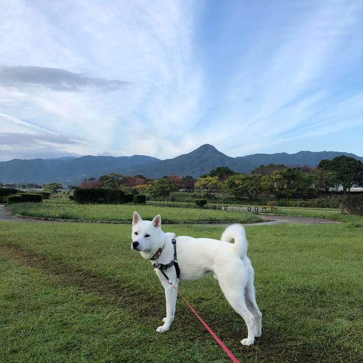 Fb361772 2629 42ae 823c cf6679a921db 1542068753454